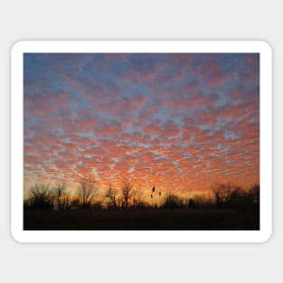 Cirrocumulus Cloud Formation-1RB Sticker